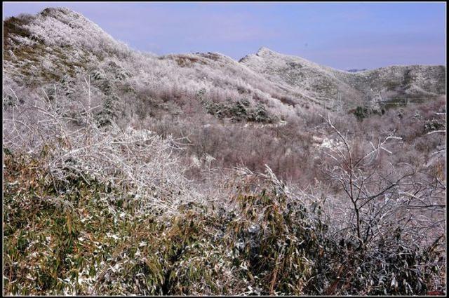 冰雪美景——星子山,大美镇巴等你来