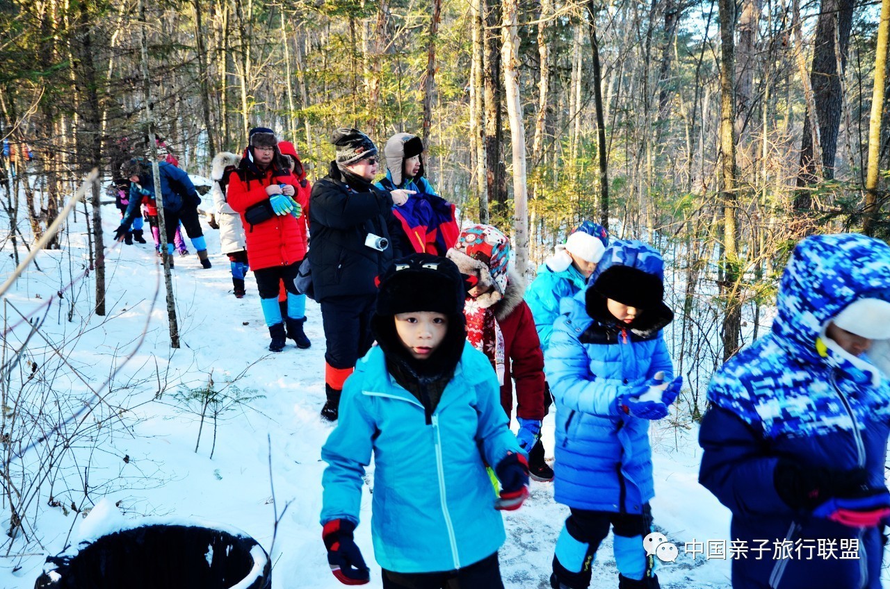 来自红松故乡的雪人