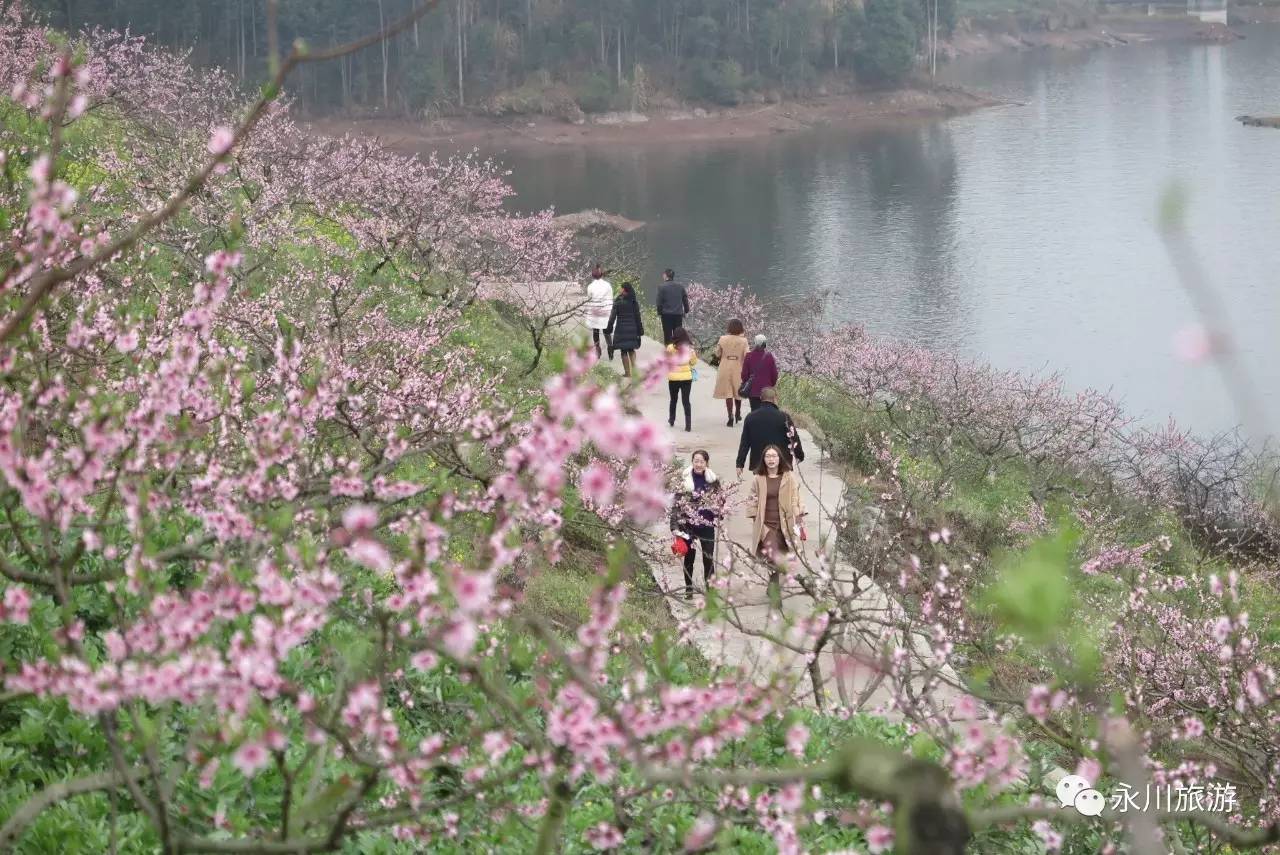 五间圣水湖桃花岛请各路仙友前来一会