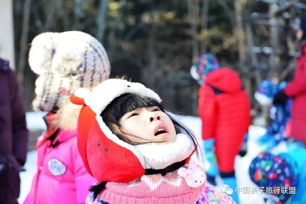 来自红松故乡的雪人