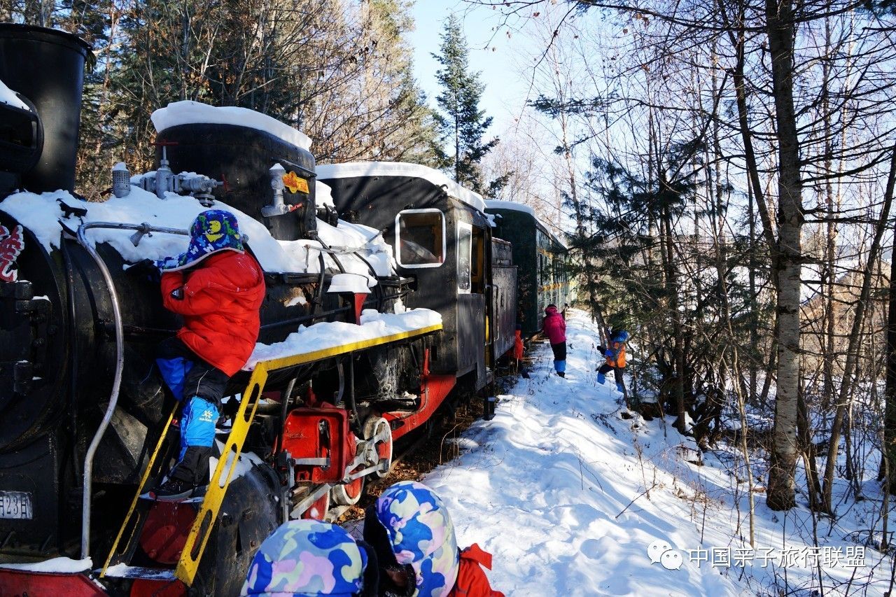 来自红松故乡的雪人