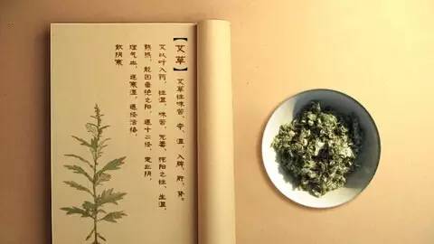 艾叶的作用与功效与作用_艾叶泡脚功效与作用_艾叶的功效与作用