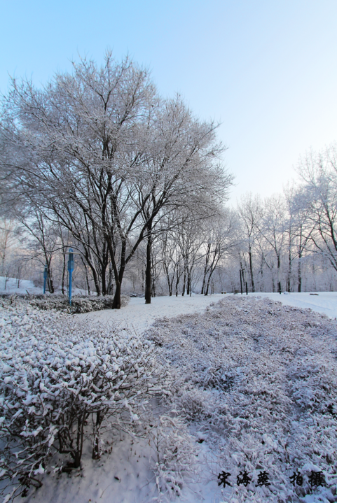 雪留给春天最后的吻别