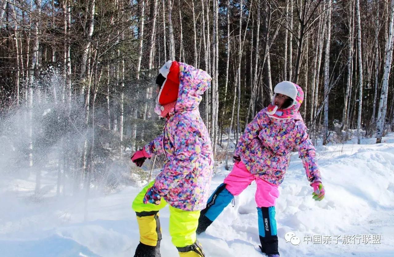 来自红松故乡的雪人