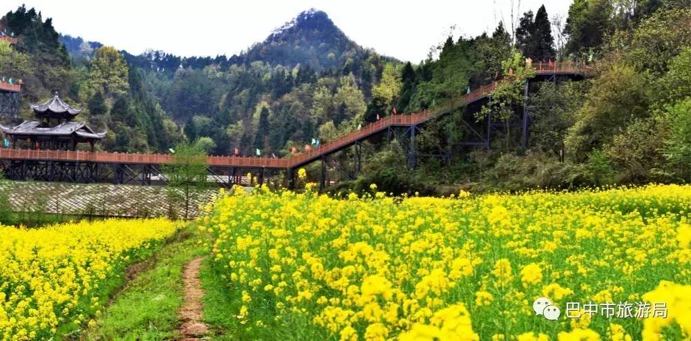 踏村(春)啦!巴中有个平昌,平昌有几多小村,周末