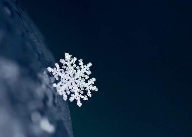 在凛冽的天宇下,闪闪地旋转升腾着的是雨的精魂…… -----鲁迅《雪》