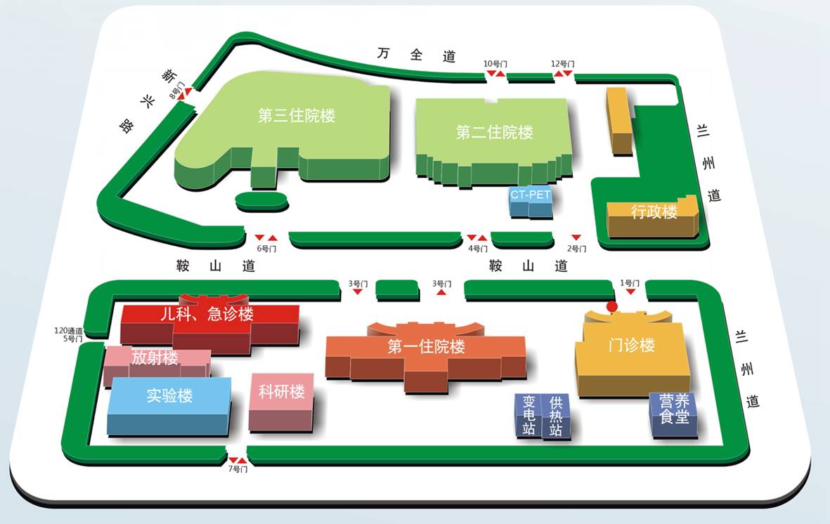 天津医大总医院楼宇分布图 返回搜             责任编辑