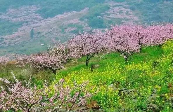 贵州:9大桃花美景"三生三世十里桃花"你来过没?