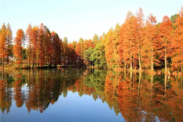 00 后官湖湿地公园