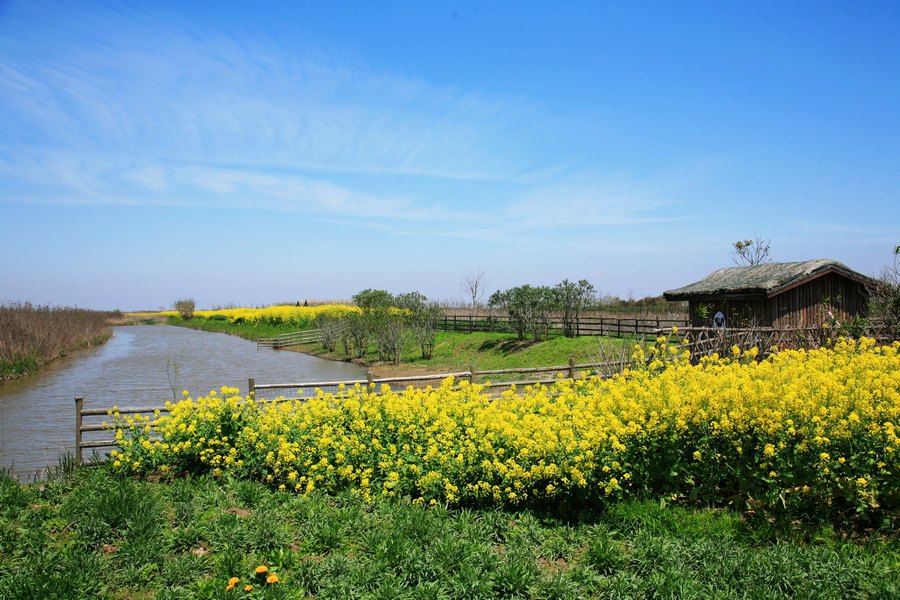 东滩湿地公园