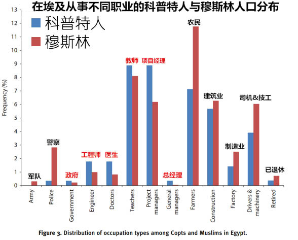 埃及人口主要分布在_埃及9000多万人口主要分布在哪里(2)