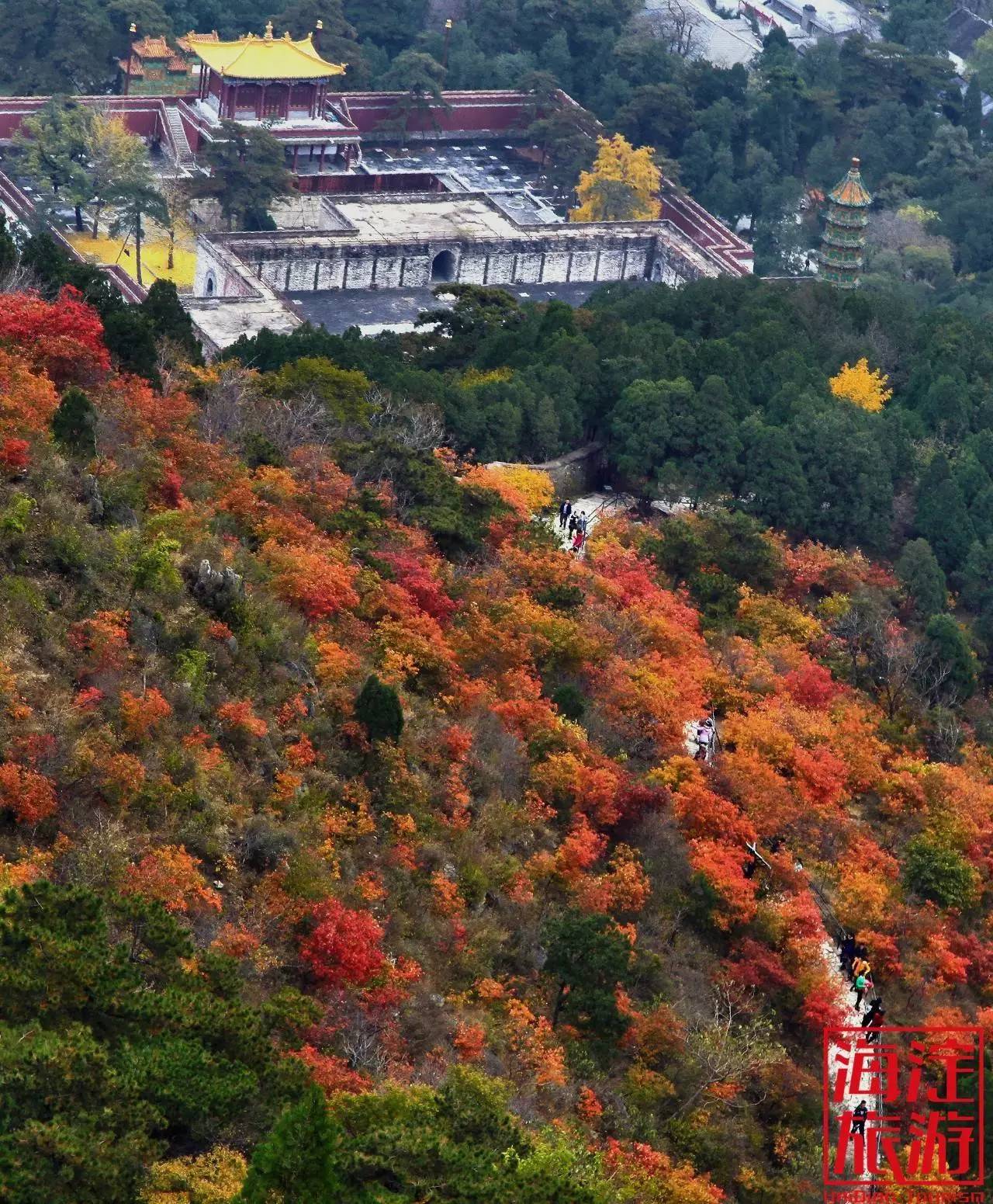 ③圆明园盛时全景模型展:10元 票价④圆明园通票:25元 地址:北京市