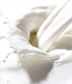 全脂牛奶和纯牛奶的区别 喝牛奶好吗 喝牛奶发