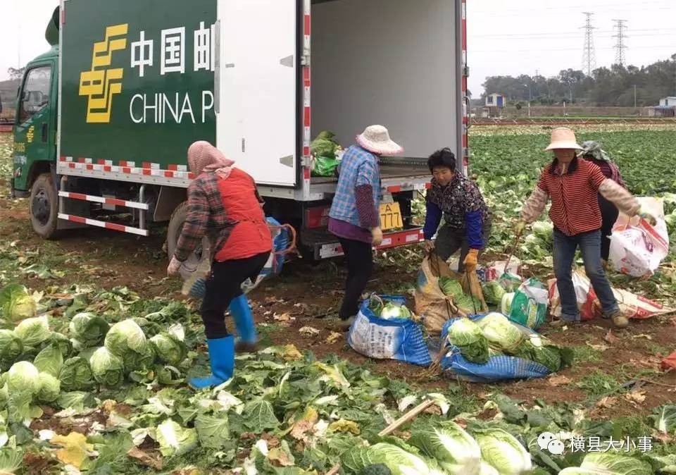 广西横县有多少人口_明天,又有上万人涌向横县伏波庙