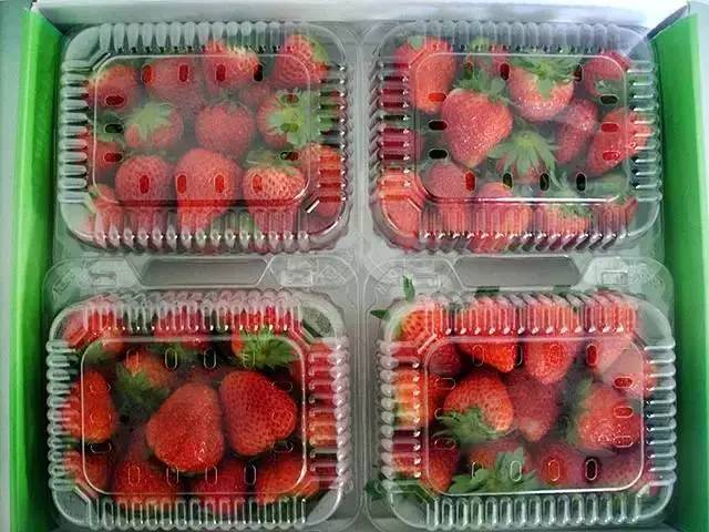爱吃草莓的注意了！现在知道还不晚，别忘了告诉家人！
