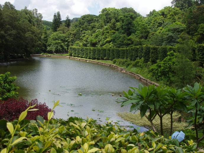 深圳仙湖植物园游玩攻略