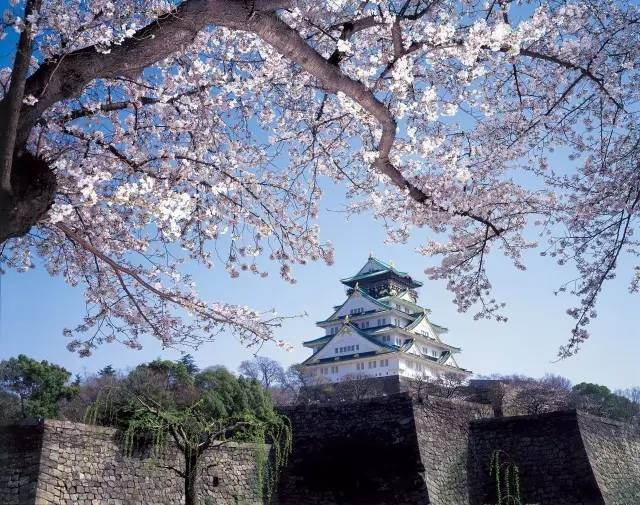 日本东京上野公园,大阪城造币局樱花隧道,京都醍醐寺,北海道缤纷雪景