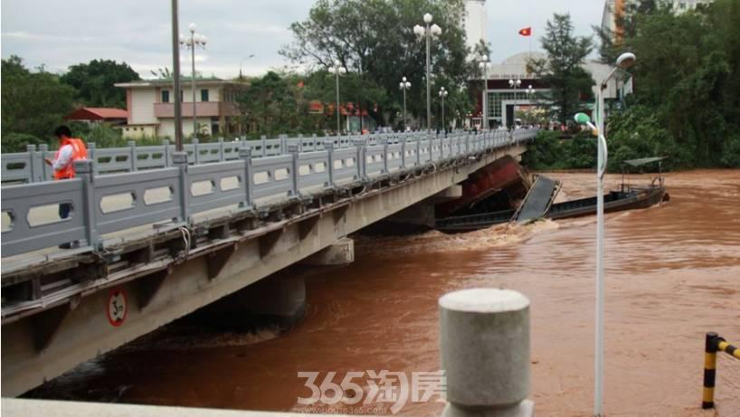 新乡市有多少人口_大熊猫将抵达新乡 河南人在家门口就能看大熊猫(3)