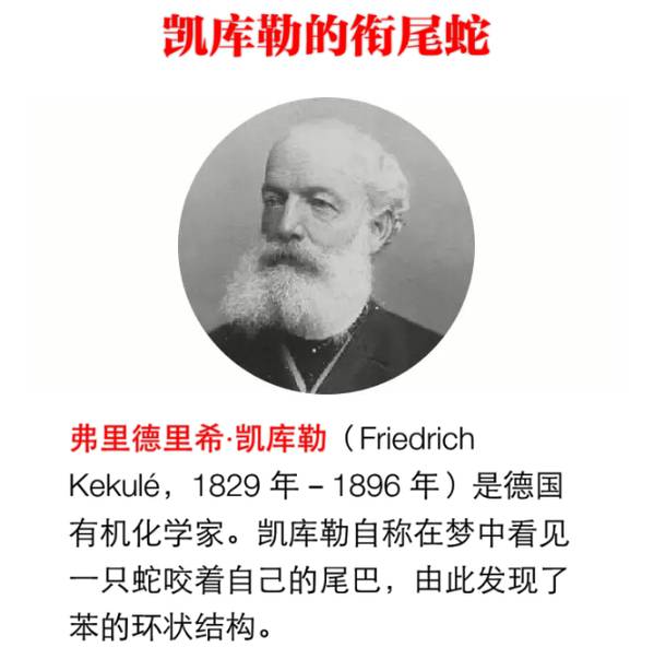 凯库勒的衔尾蛇现藏于巴浦洛夫博物馆1717一只真正的巴浦洛夫的狗