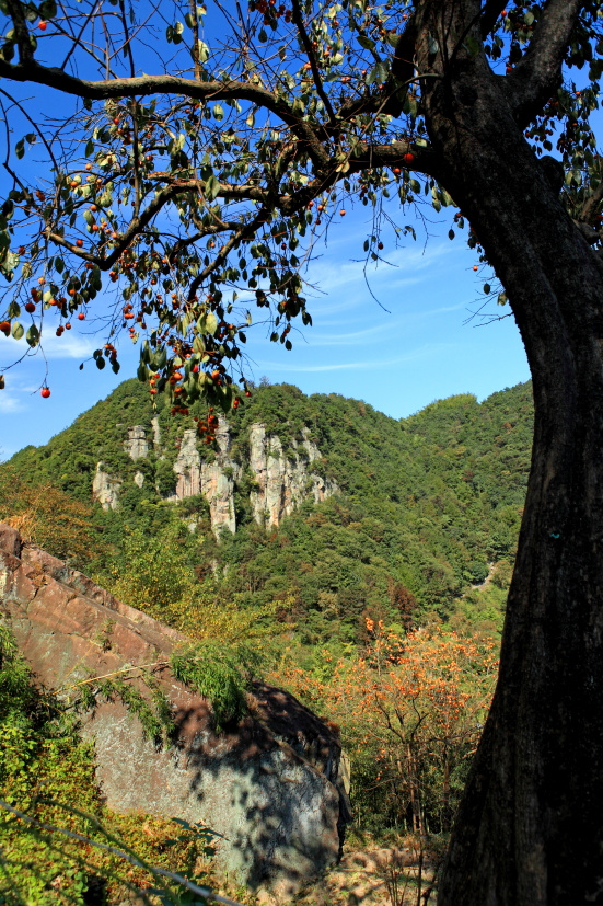 中国传统村落浙江宁波余姚市大岚镇柿林村