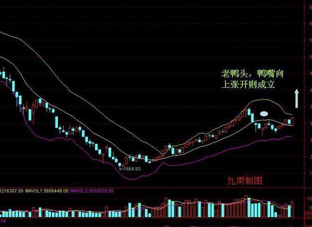 形态,该股票多数情况下很快会有一惭疾弊--->鸭头--->扁鸭嘴---->