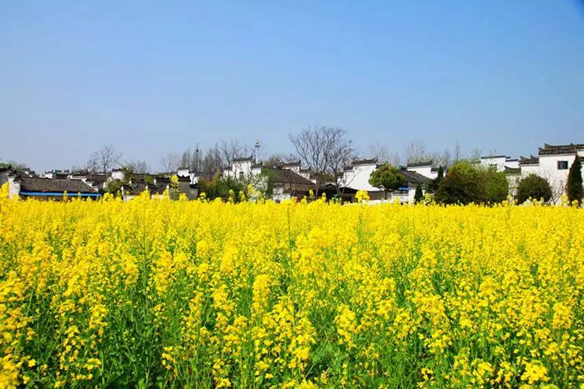 武汉周边烧烤野炊地位置大盘点，一日游春游自驾踏青聚会指南攻略!(图12)