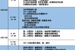 CBT-I失眠症的认知行为治疗技术工作坊 认知行