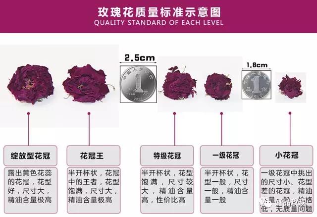 平阴玫瑰花茶的等级划分玫瑰花冠茶的等级划分