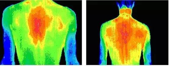 从人体热成像不难看出,其实身体最温暖的部位往往靠近心脏而不在脸部.