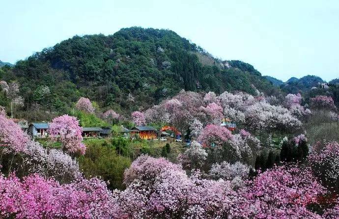 九皇山花溪景