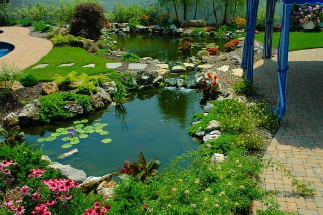 庭院面积不够的话,这种庭院一角的小水塘也会为庭院提气.