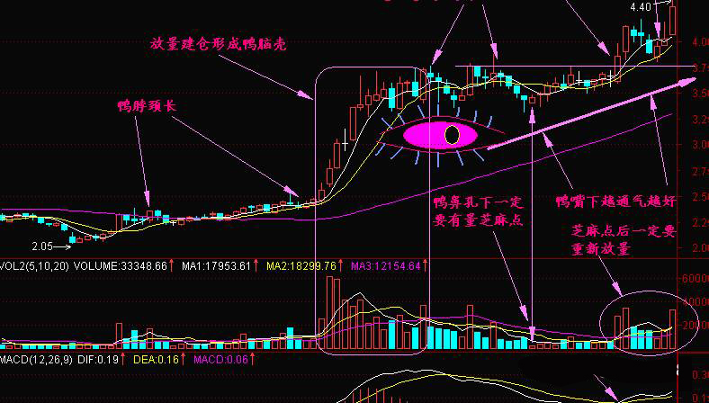 老林日记:老鸭头 仙人指路 空中加油