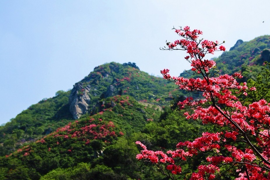 云雾山