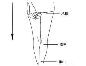 按摩帮你消除大肚腩和大象腿