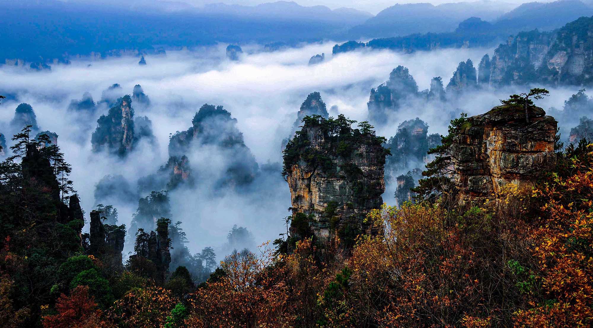 一个张家界旅游人写给张家界的情书,感动了无数人