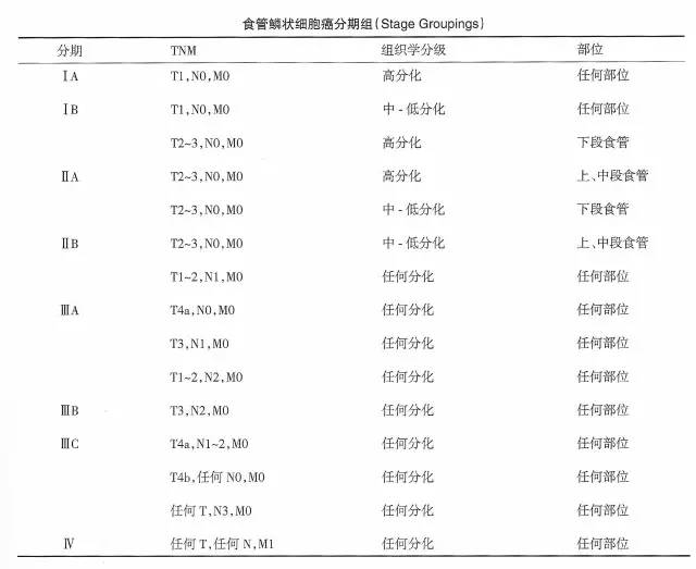 王贵齐浅谈早期浅表食管癌