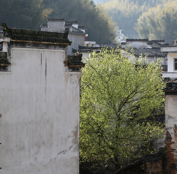 中国传统村落安徽黄山市徽州区呈坎镇灵山村