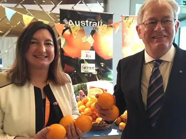 澳洲橙子都被中国买光啦！澳洲人又要“断粮”了…