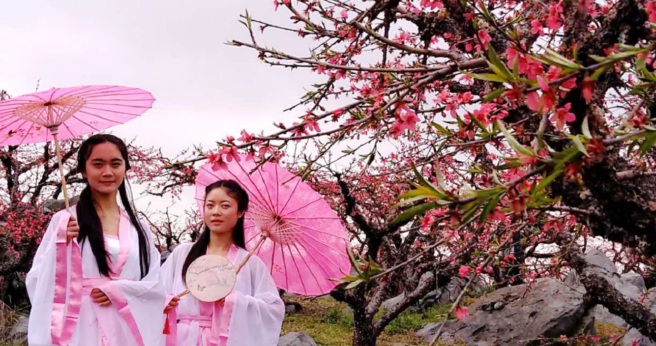 连州桃花节丨粤北古城有佳人,满城静待容华若桃李