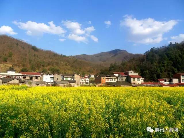 三元镇—黎坝镇观花点—赤南镇—渔渡镇观花点—县城(环线)