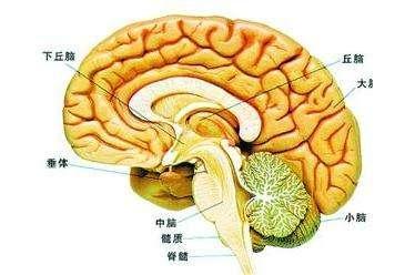 鉴别:你知道脑瘤颅内外转移有何区别吗?