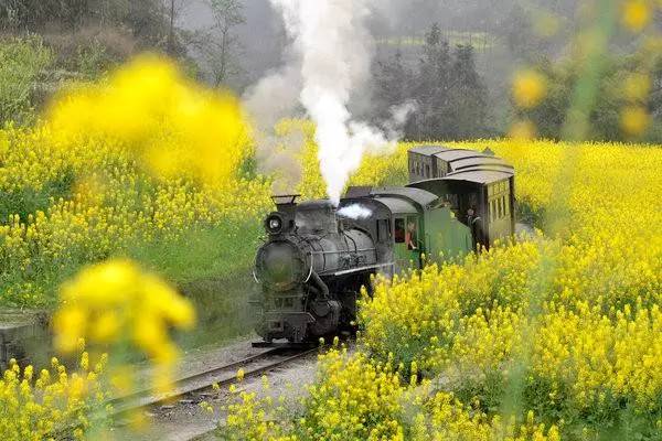 贵州·万峰林 菜花香里春意俏