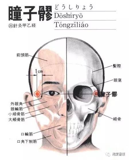 位于面部,眼睛外侧一厘米处(目外眦外侧 0.5 寸凹陷中,当眶外侧缘处.