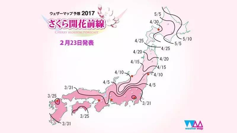 哪里的樱花最美 日本全境20大赏樱名所指南