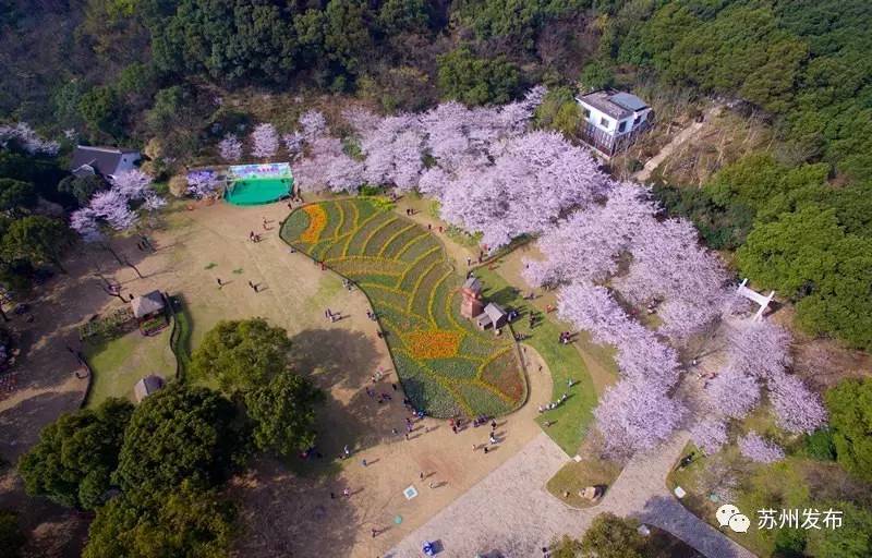 十里桃花,不如去上方山看"百花!内有重大粉丝福利!