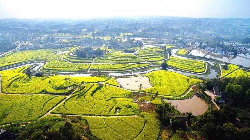 旅游 正文  3月3日,江津区在永兴镇黄庄村举行2017·"阳春三月游江津"