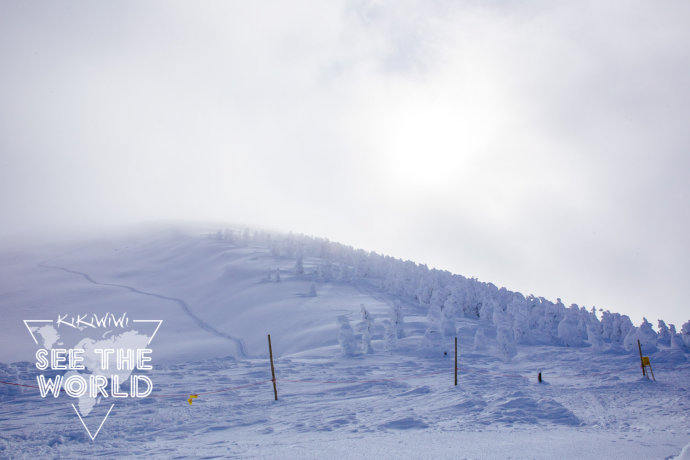 【日本】山形藏王树冰、滑雪、温泉之旅