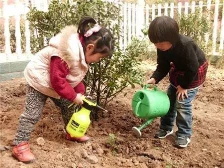 幼儿园植树节活动方案