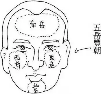 手相中拥有朱砂掌的人一生有财。