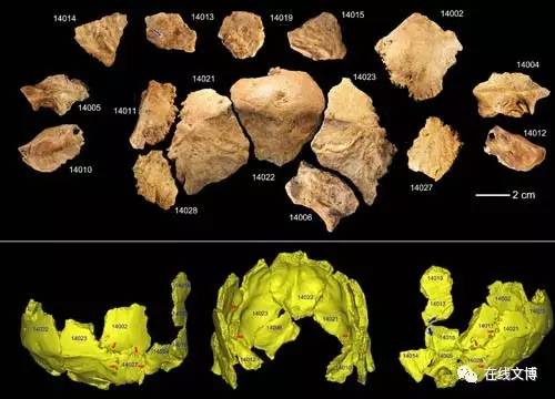 基因分析中国古代人口_传承红色基因手抄报(3)